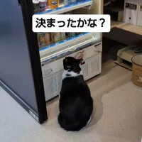 画像1453