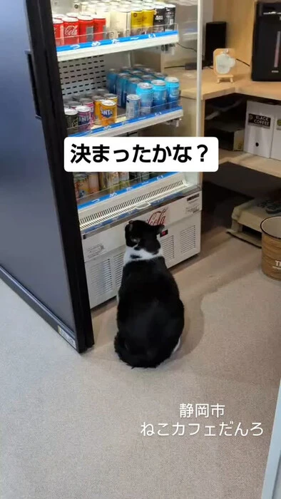 画像1453