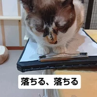 画像1455