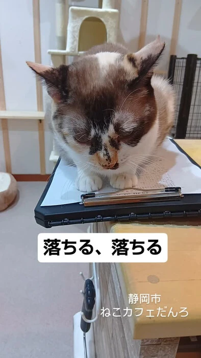 画像1455