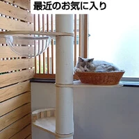画像1457