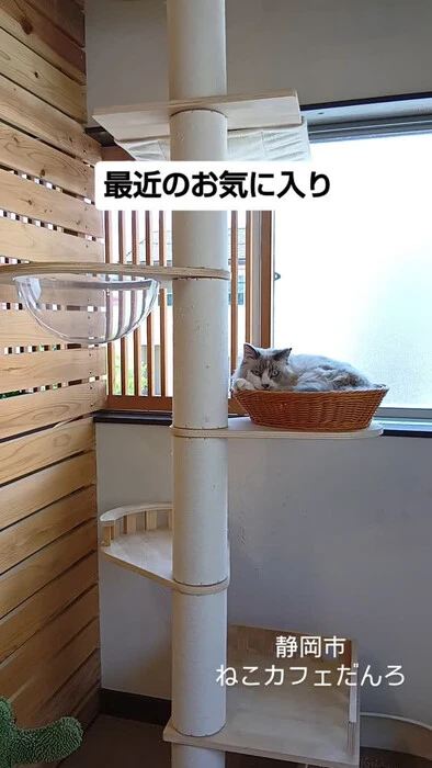 画像1457