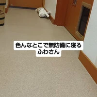 画像1459