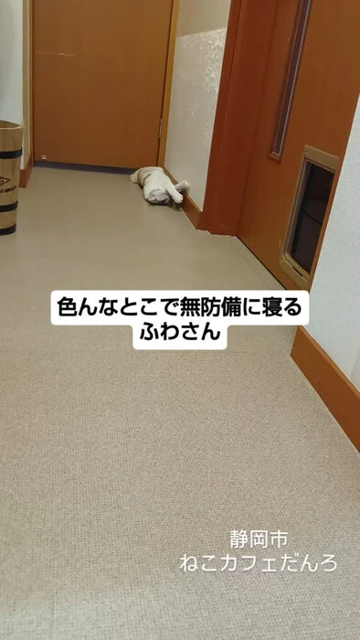 画像1459