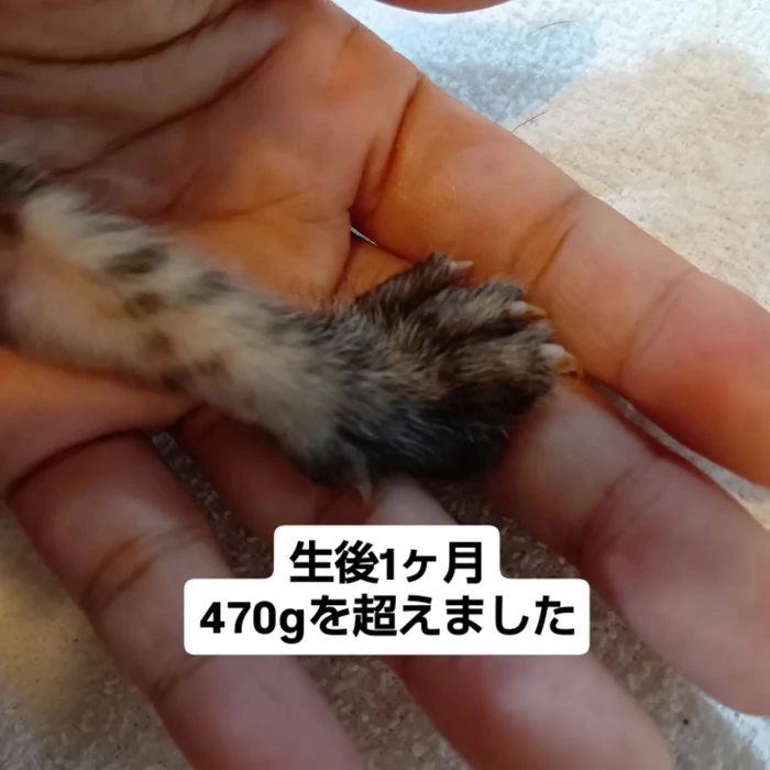 画像1465