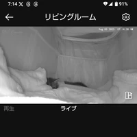 画像1466