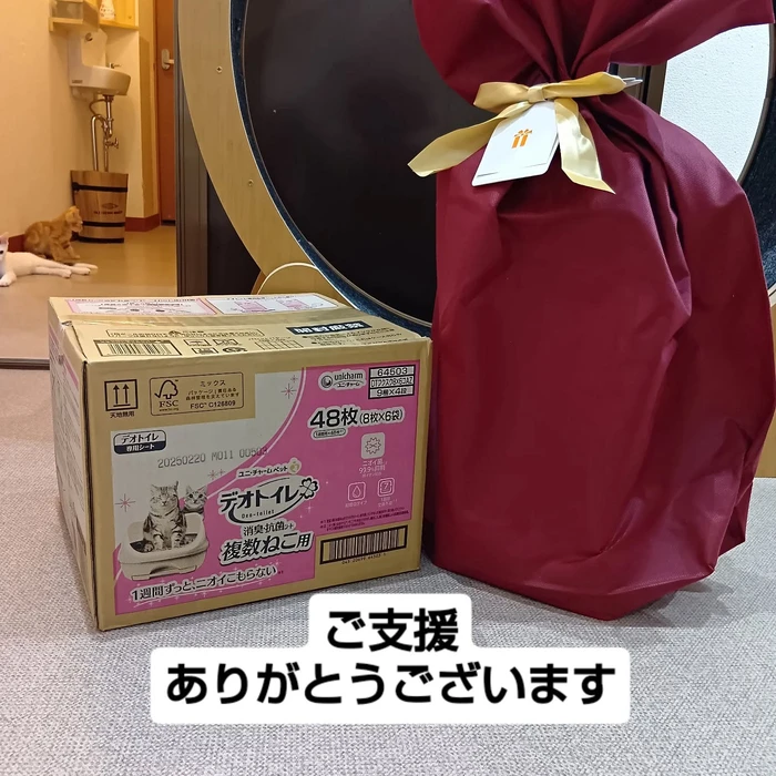 画像1469
