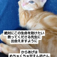 画像1475