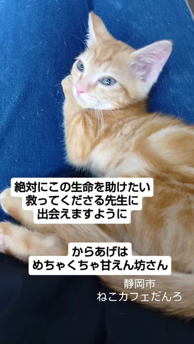 画像1475