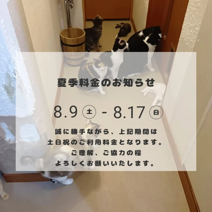 画像1482