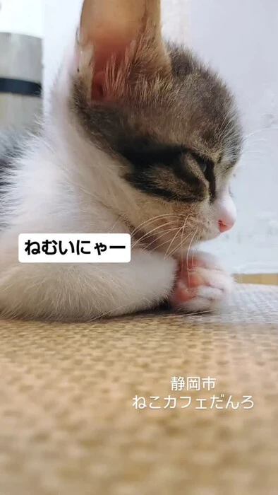 画像1484