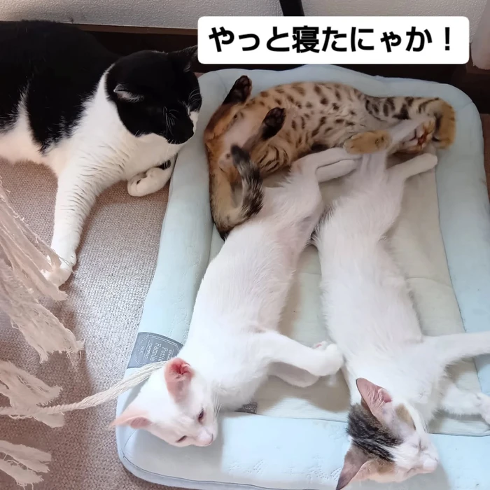 画像1486