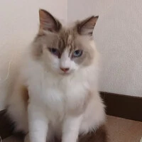 画像1489