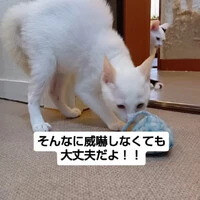 画像1491