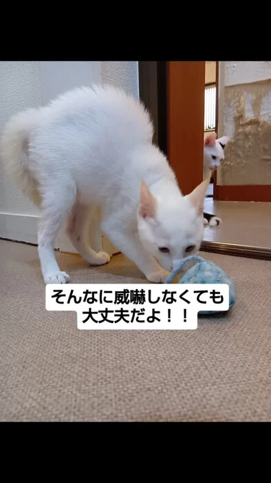 画像1491