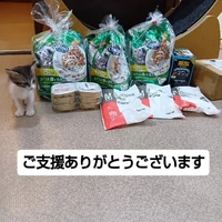 画像1496