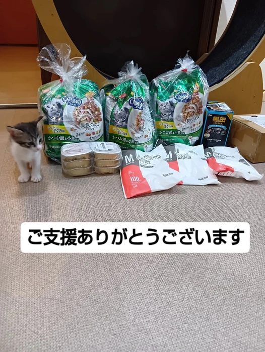 画像1496