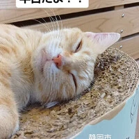 画像1498