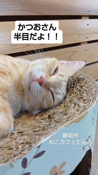 画像1498