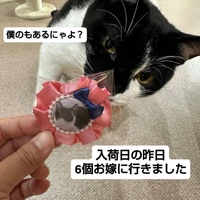 画像1500