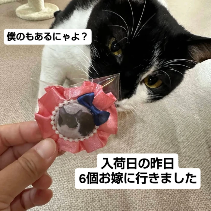 画像1500