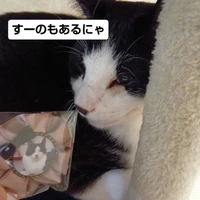 画像1501