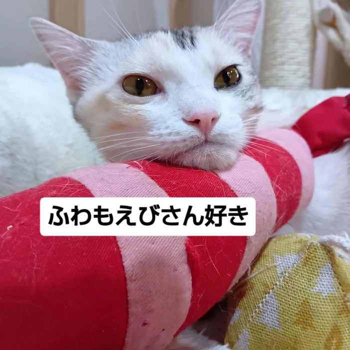 画像1503