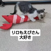 画像1506