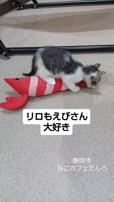画像1506
