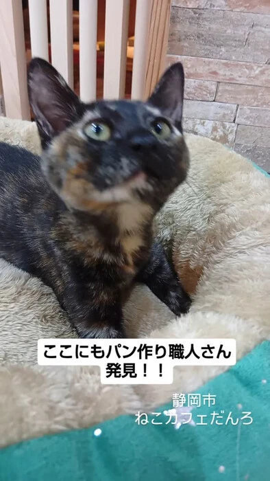 画像1508