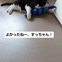 画像1512