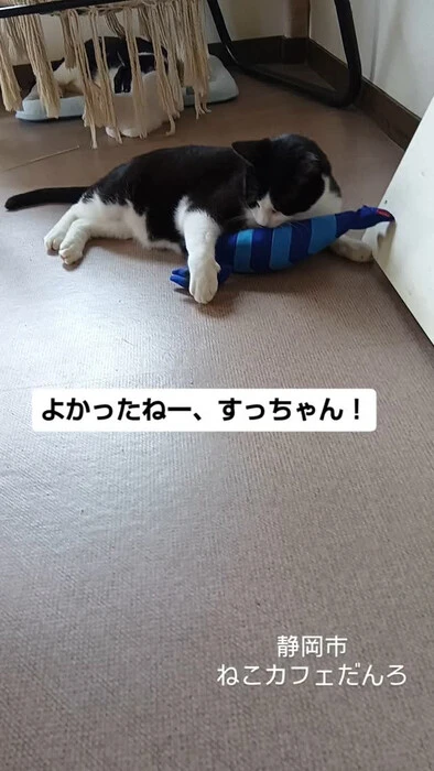 画像1512