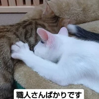 画像1514