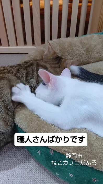 画像1514