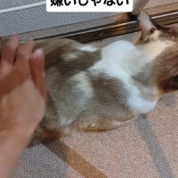 画像1516