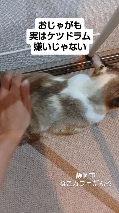 画像1516
