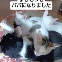 画像1518