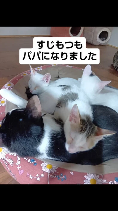 画像1518