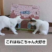 画像1527