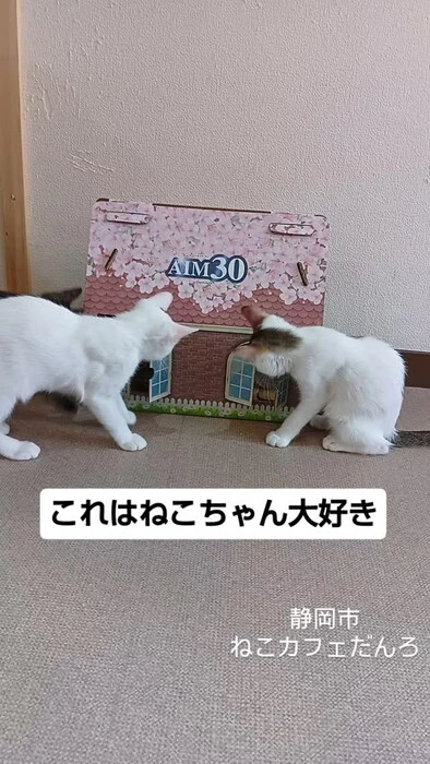 画像1527