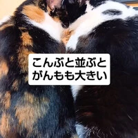 画像1529