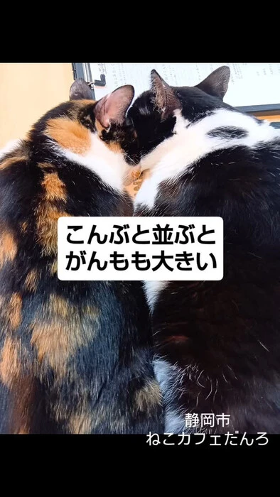 画像1529