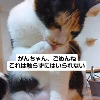 画像1531