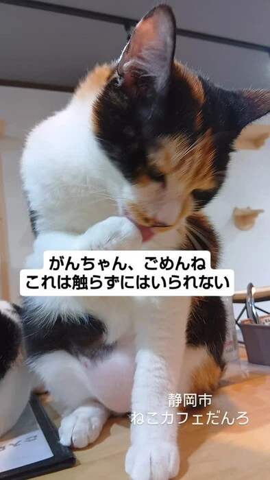 画像1531
