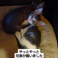 画像1533