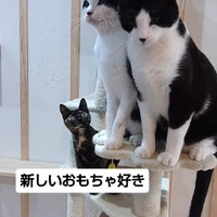 画像1535