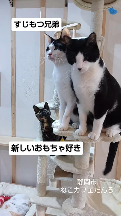 画像1535