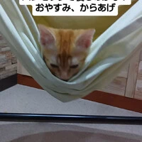 画像1537