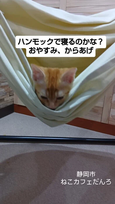 画像1537
