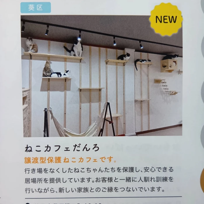 画像1540
